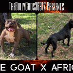 The Goat X Africa